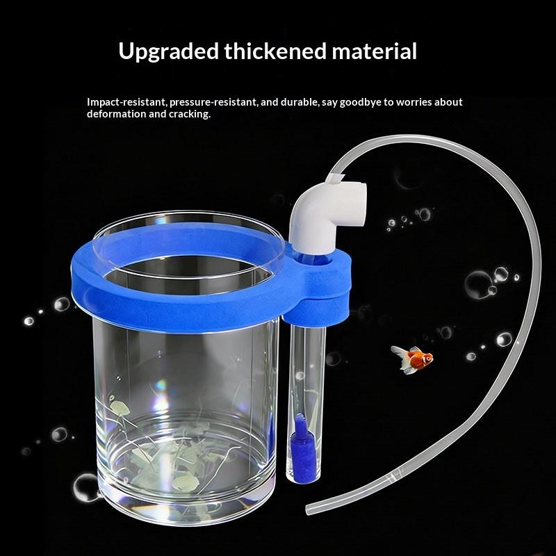 Box Fish In Aquarium - Transparent Acrylic Fish Breeding Box with