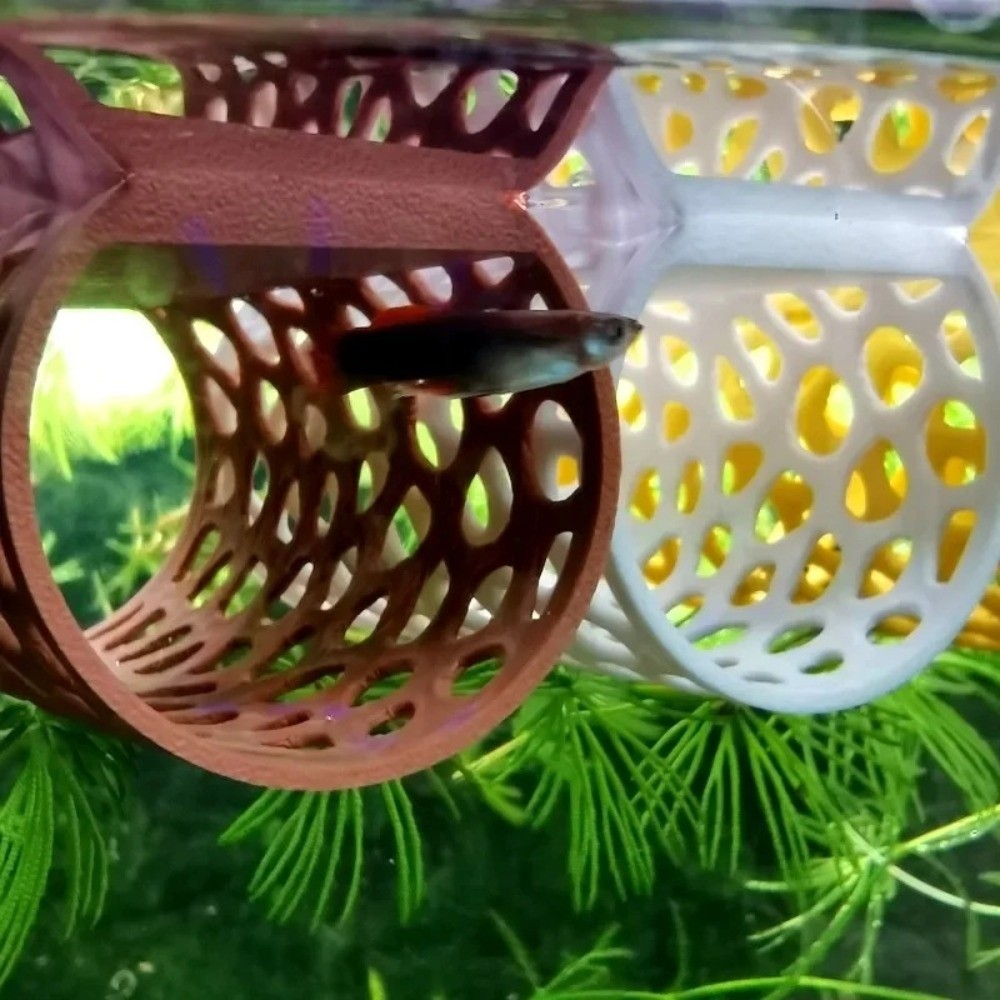 Aquarium Fish Games - Aquarium Tunnel Aquarium Fish Hideout Hollow