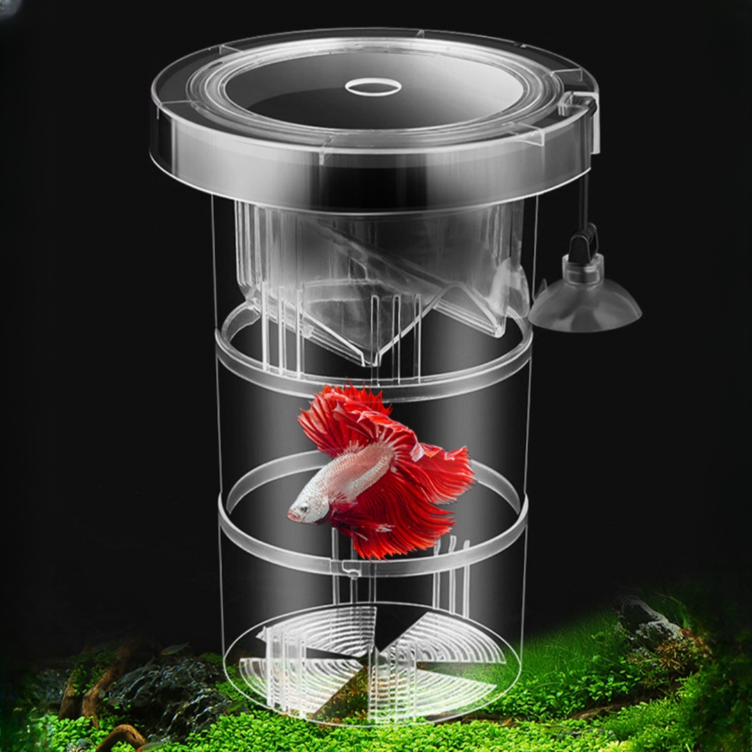 Box Fish In Aquarium - Acrylic Floating Fish Breeding Isolation Box