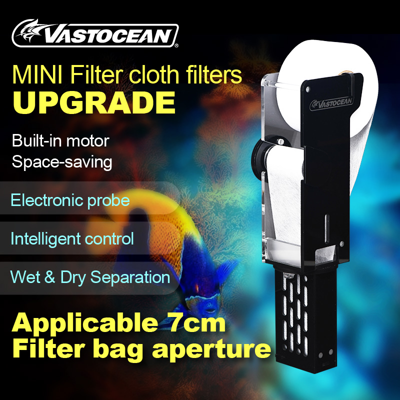 VASTOCEAN mini version aquariu - огляд і ціна Box Fish In Aquarium