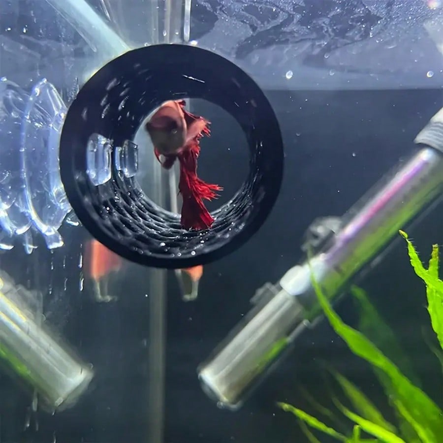 Aquarium Fish Hideout Black Ho - огляд і ціна Aquarium Fish Games