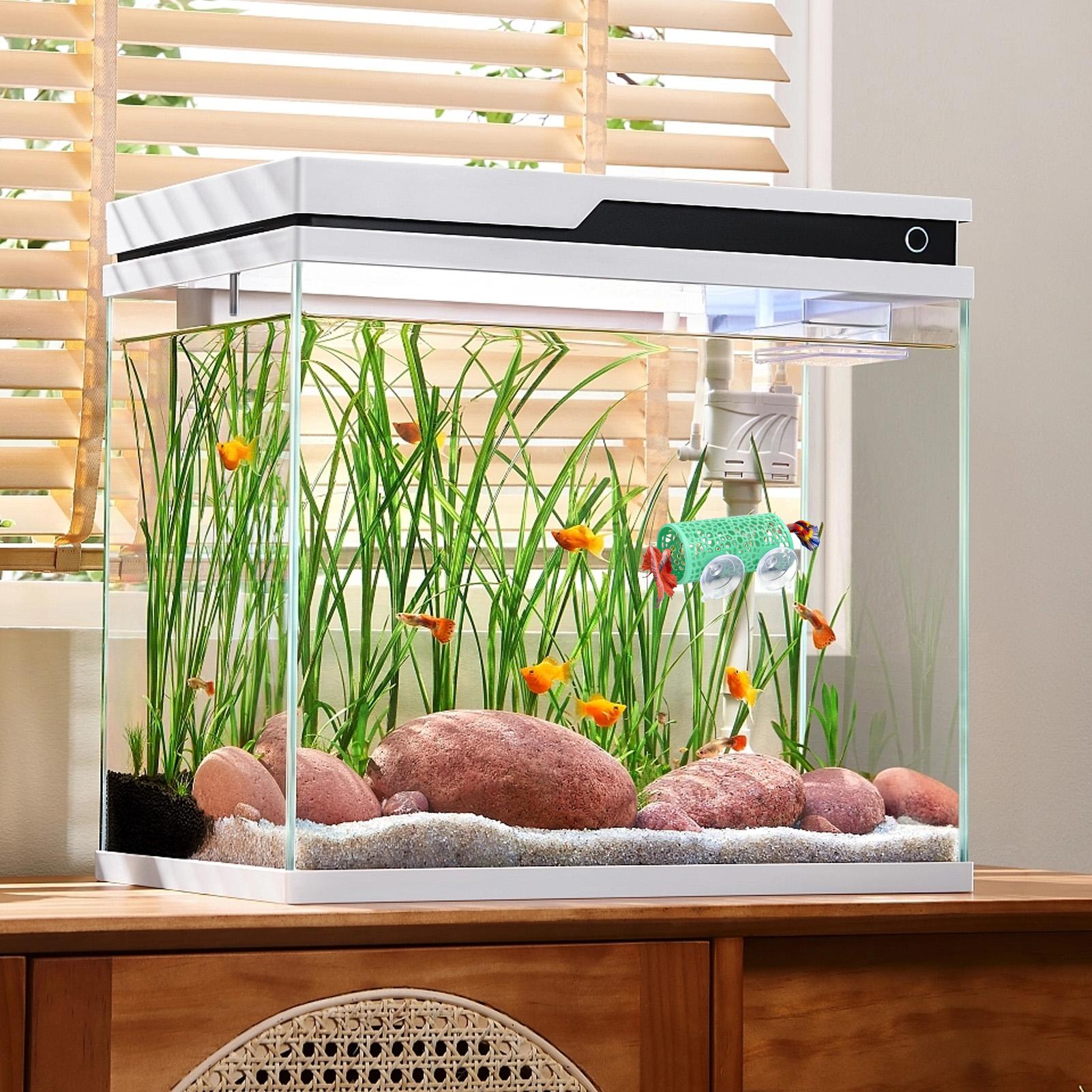 Betta Habitat Resting Shelter  - огляд і ціна Aquarium Fish Youtube