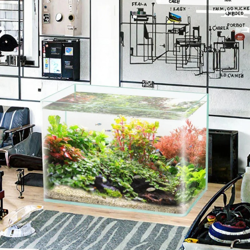 Box Packing Desktop Aquarium U - огляд і ціна Box Fish In Aquarium