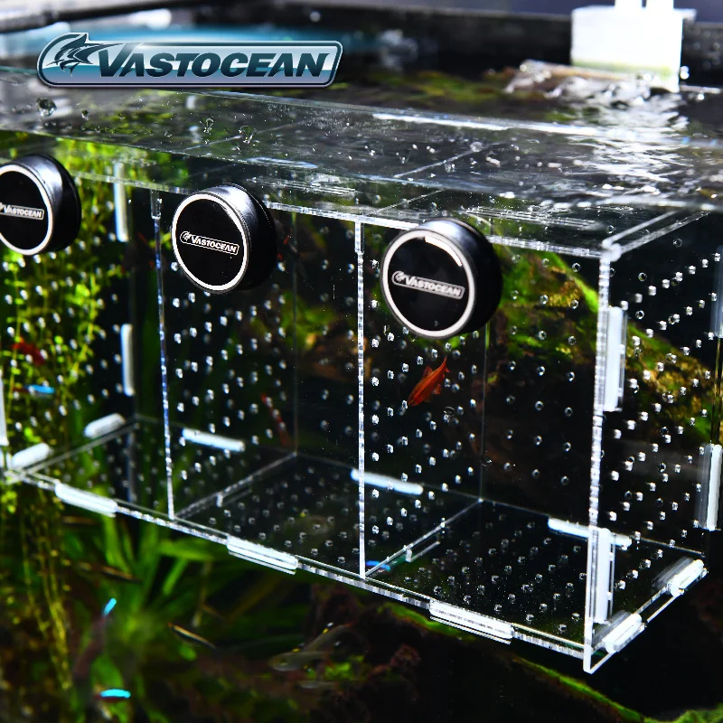 VASTOCEAN Fish Tank Magnetic C - огляд і ціна Box Fish In Aquarium