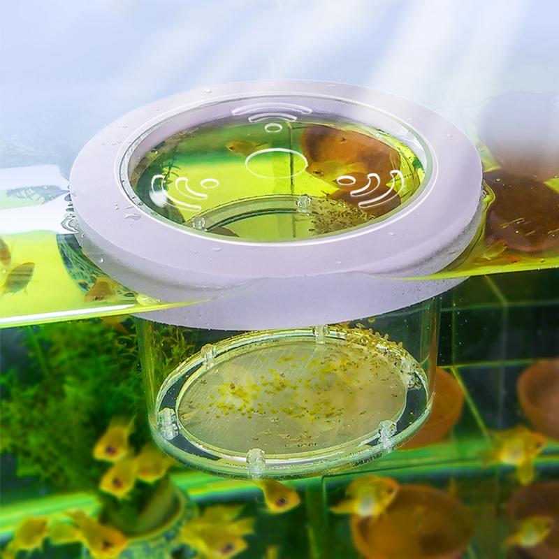 Suspended Fish Tank Breeding I - огляд і ціна Box Fish In Aquarium