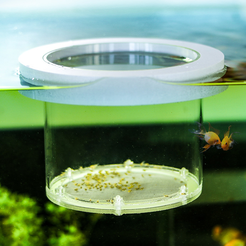 Suspended Fish Tank Breeding I - огляд і ціна Box Fish In Aquarium