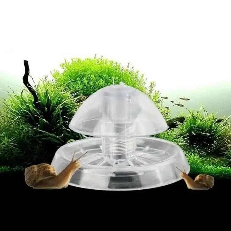 2026 New 6/8CM Clear Plastic S - огляд і ціна Box Fish In Aquarium