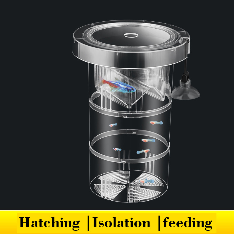 Floating Fish Breeding Isolati - огляд і ціна Box Fish In Aquarium