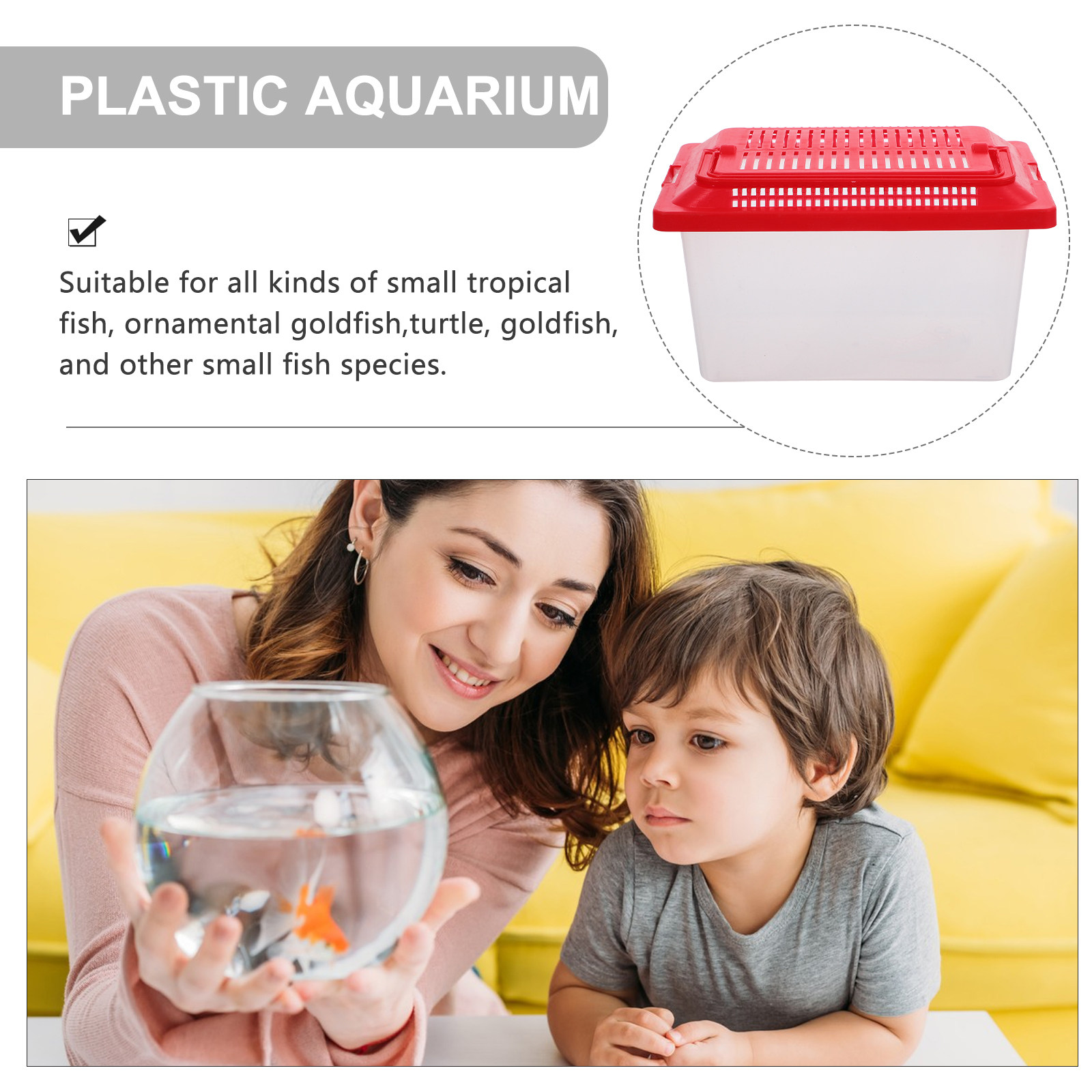 Portable Fish Transparent Turt - огляд і ціна Box Fish In Aquarium