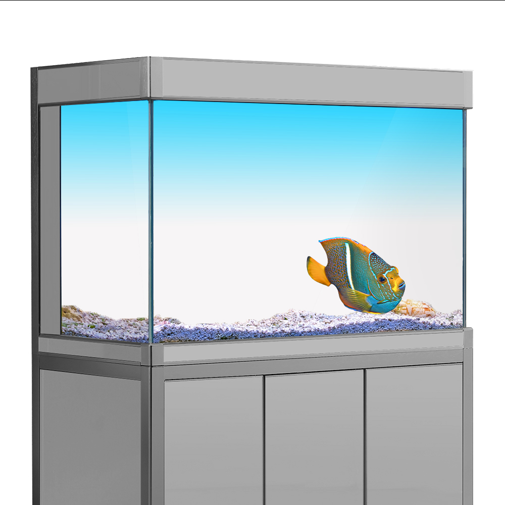 Fish Tank Background Sticker W - огляд і ціна Aquarium Fish Yellow