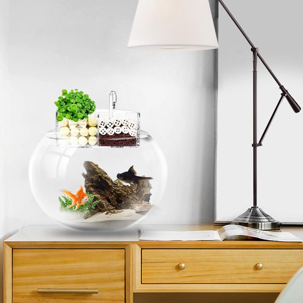 3-in-1 External Filter Box Han - огляд і ціна Box Fish In Aquarium