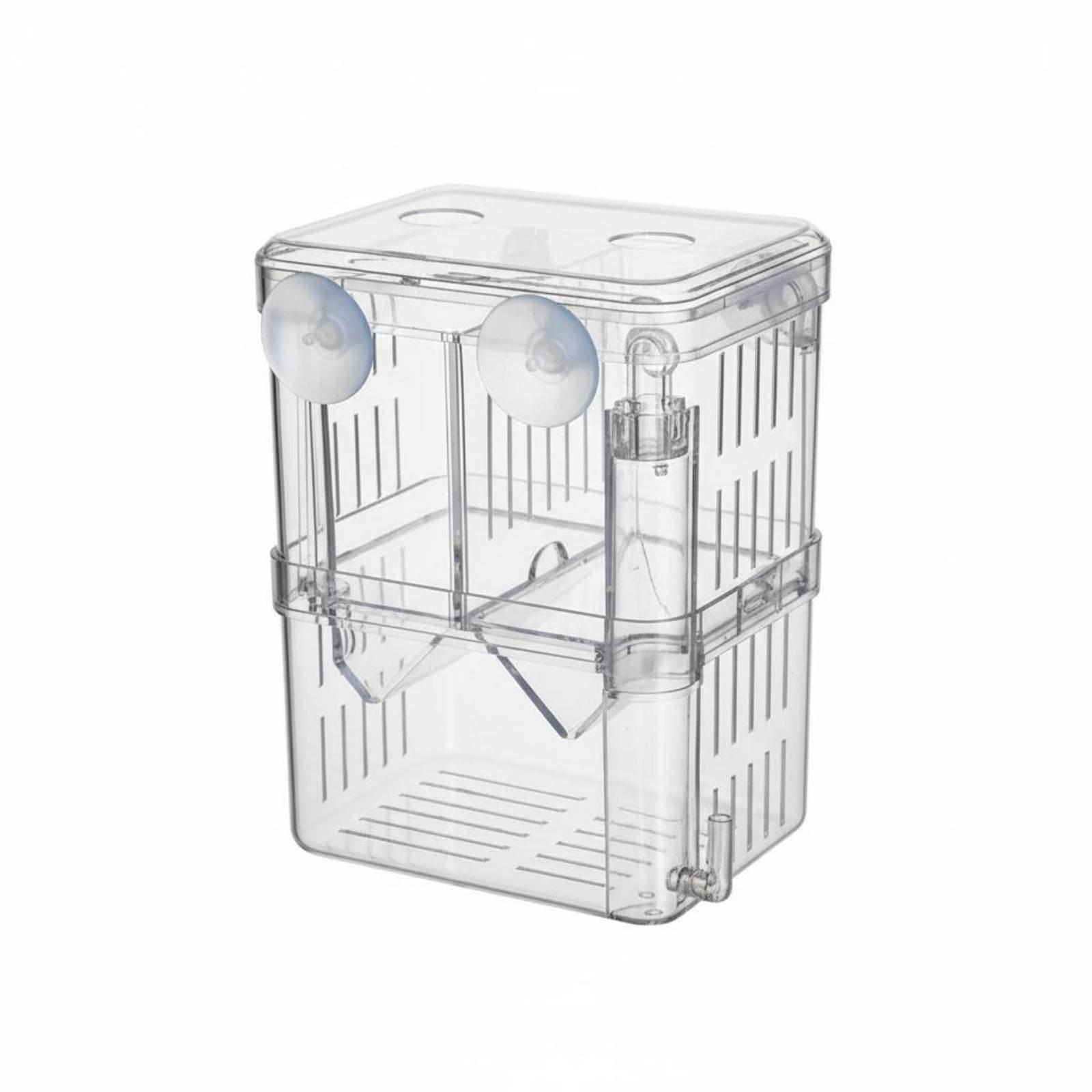 Double Layer Aquarium Breeding - огляд і ціна Box Fish In Aquarium