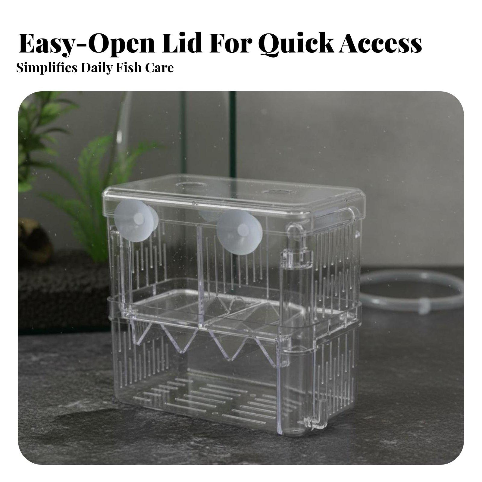 Double Layer Aquarium Breeding - огляд і ціна Box Fish In Aquarium