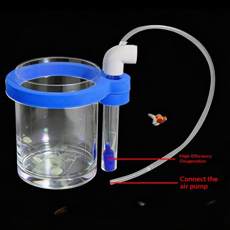 Transparent Acrylic Fish Breed - огляд і ціна Box Fish In Aquarium