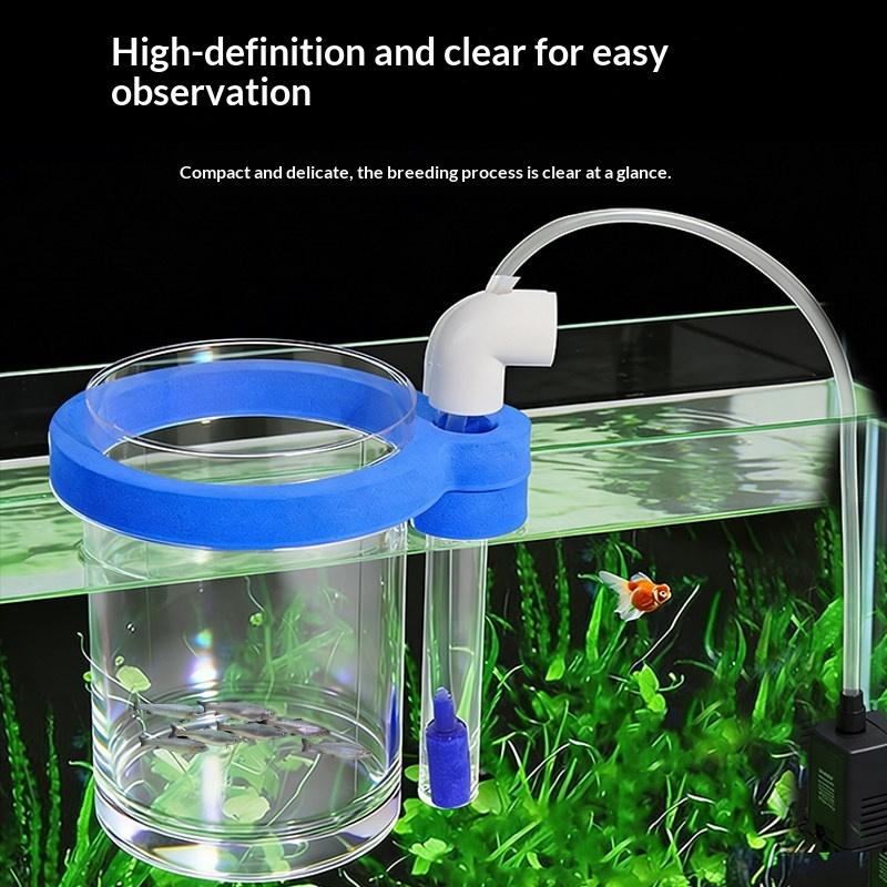 Transparent Acrylic Fish Breed - огляд і ціна Box Fish In Aquarium