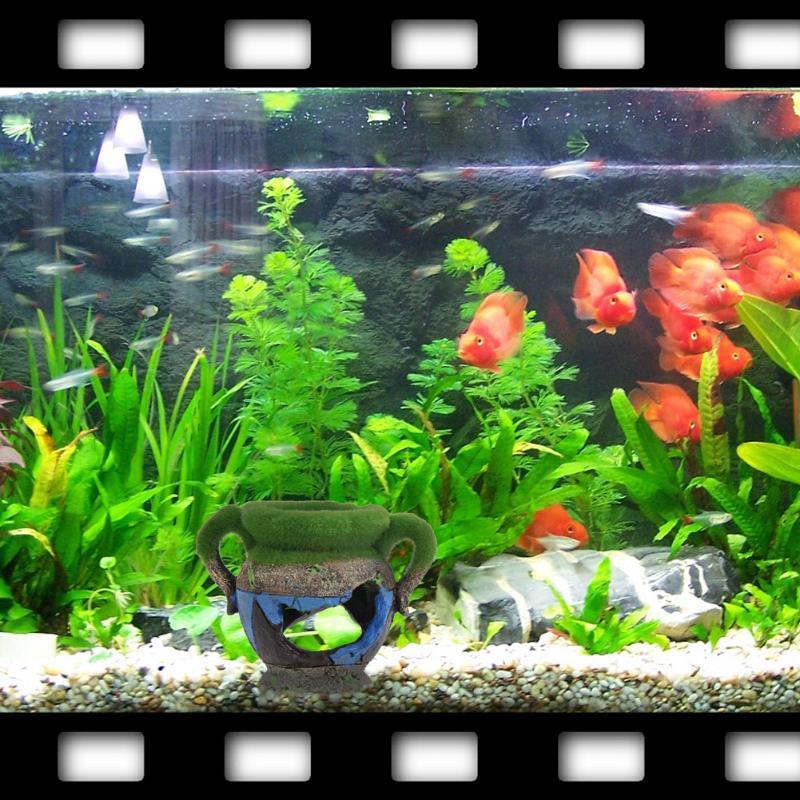 1pc Resin Vase with Moss Aquar - огляд і ціна Aquarium Fish Games