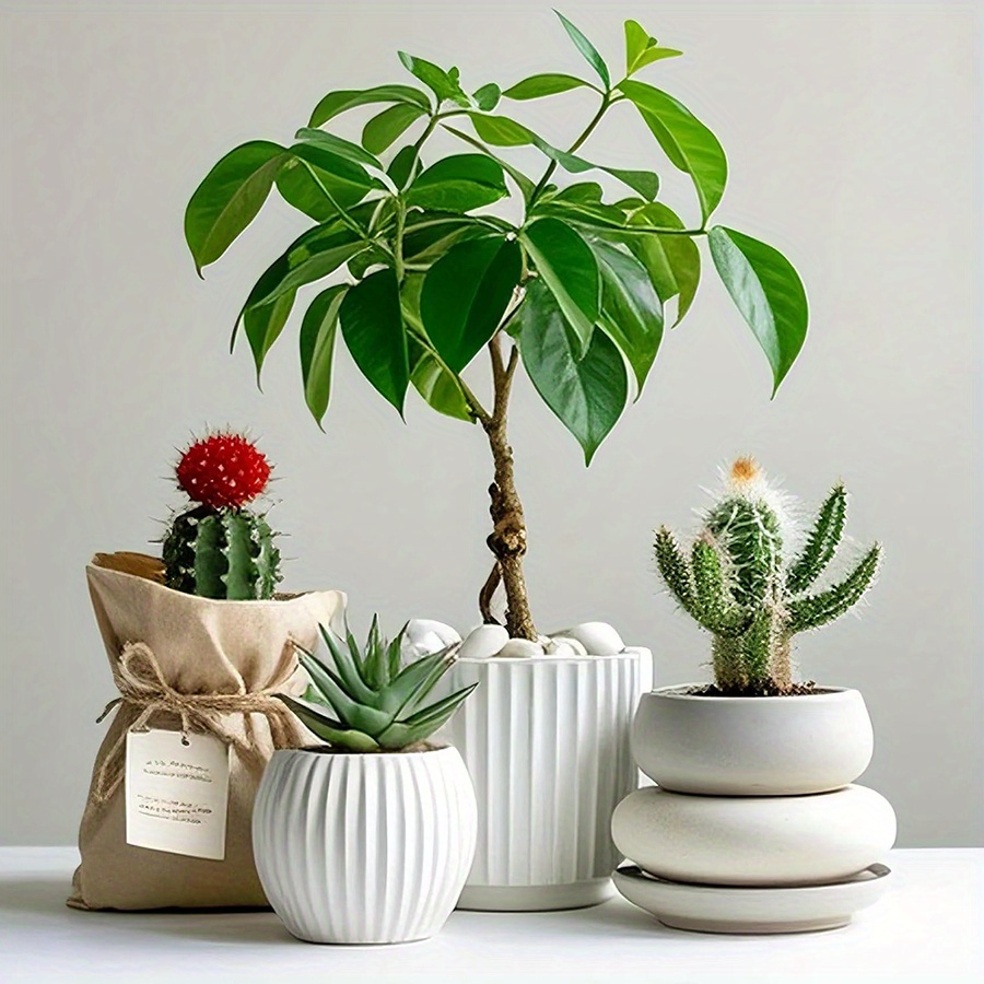 200/400g White High Polished N - огляд і ціна Aquarium Fish Guppy