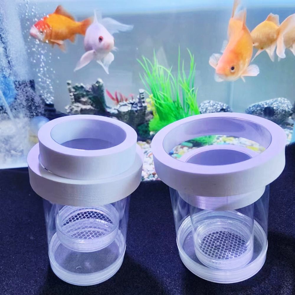 Plastic Floating Fish Breeding - огляд і ціна Box Fish In Aquarium