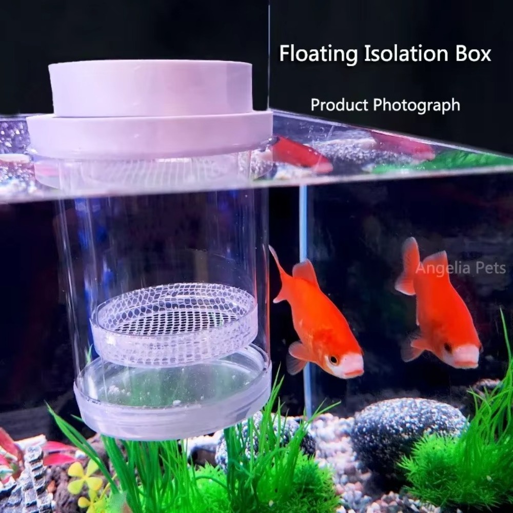 Plastic Floating Fish Breeding - огляд і ціна Box Fish In Aquarium