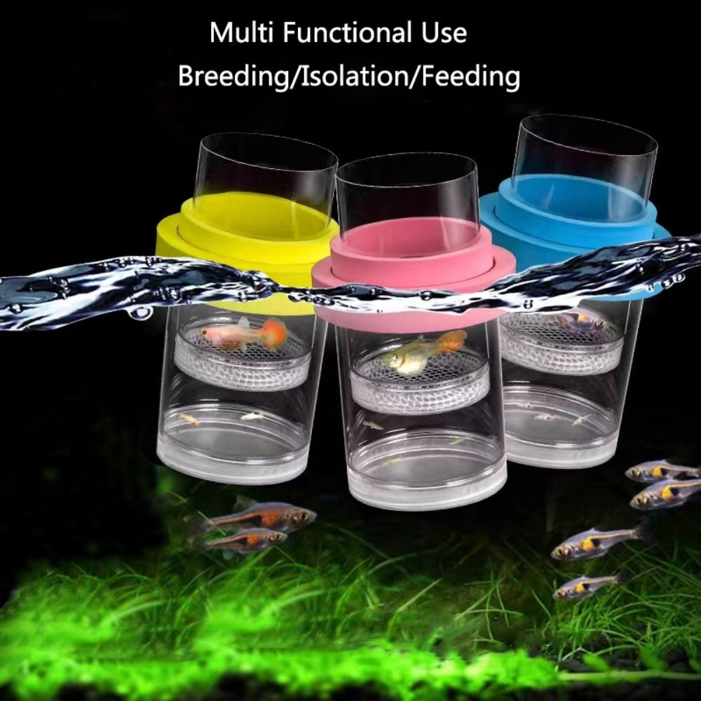 Plastic Floating Fish Breeding - огляд і ціна Box Fish In Aquarium