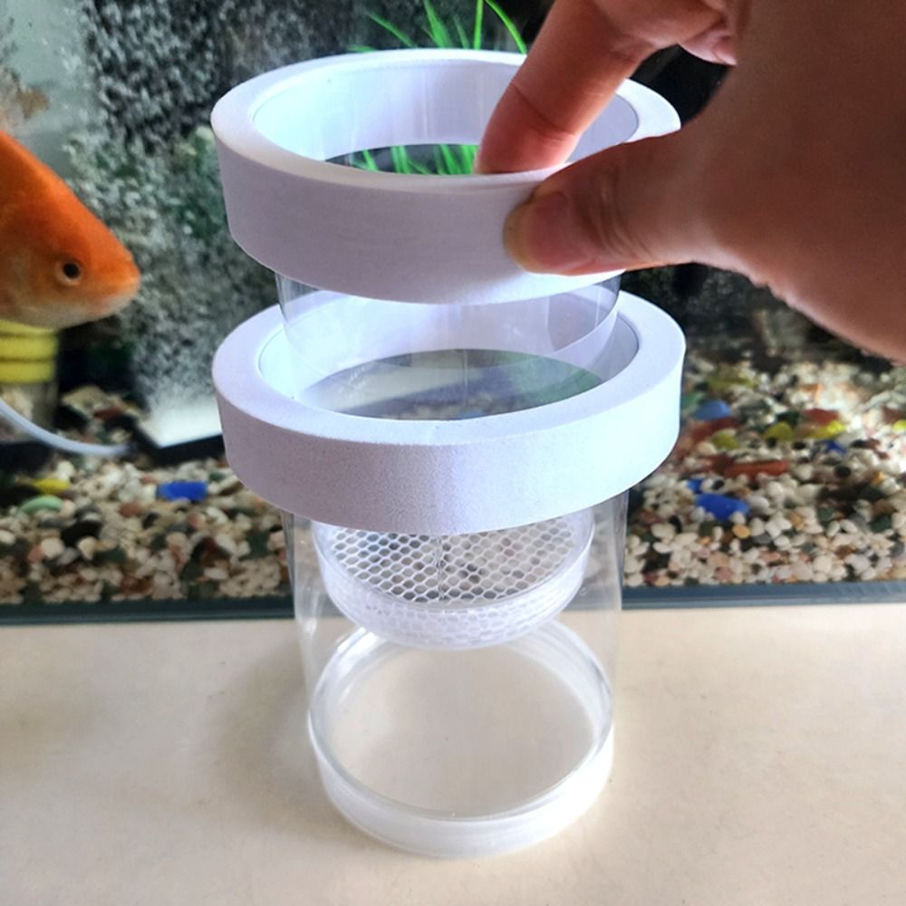 Plastic Floating Fish Breeding - огляд і ціна Box Fish In Aquarium