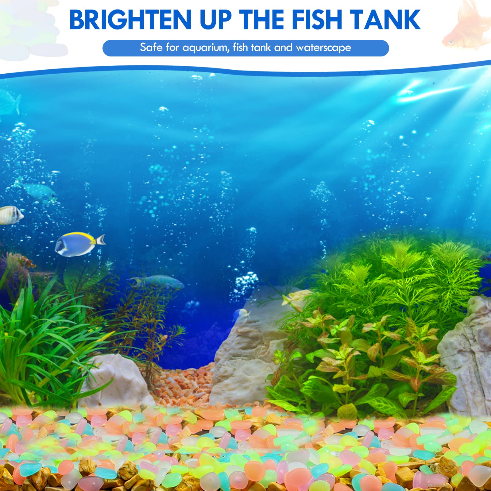 100Pcs Glow in the Dark Garden - огляд і ціна Aquarium Fish Guppy