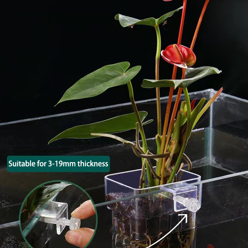 Multifunctional Fish Aquarium  - огляд і ціна Box Fish In Aquarium