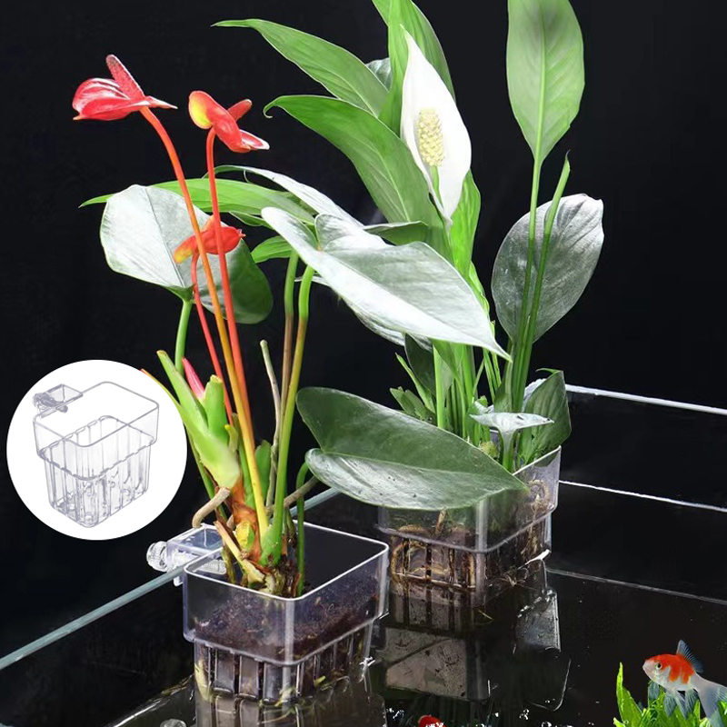 Multifunctional Fish Aquarium  - огляд і ціна Box Fish In Aquarium