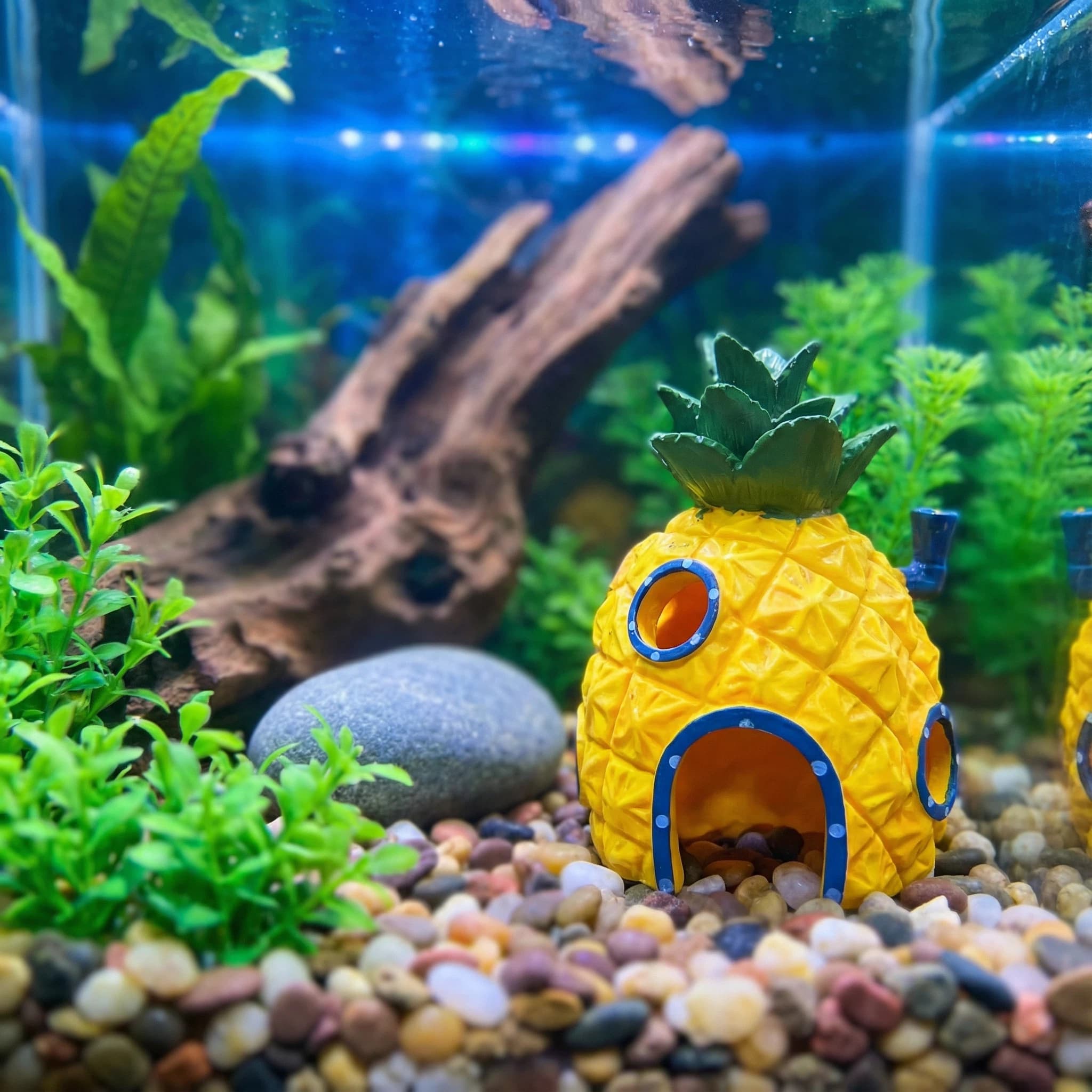 Pineapple House Aquarium Decor - огляд і ціна Aquarium Fish Games