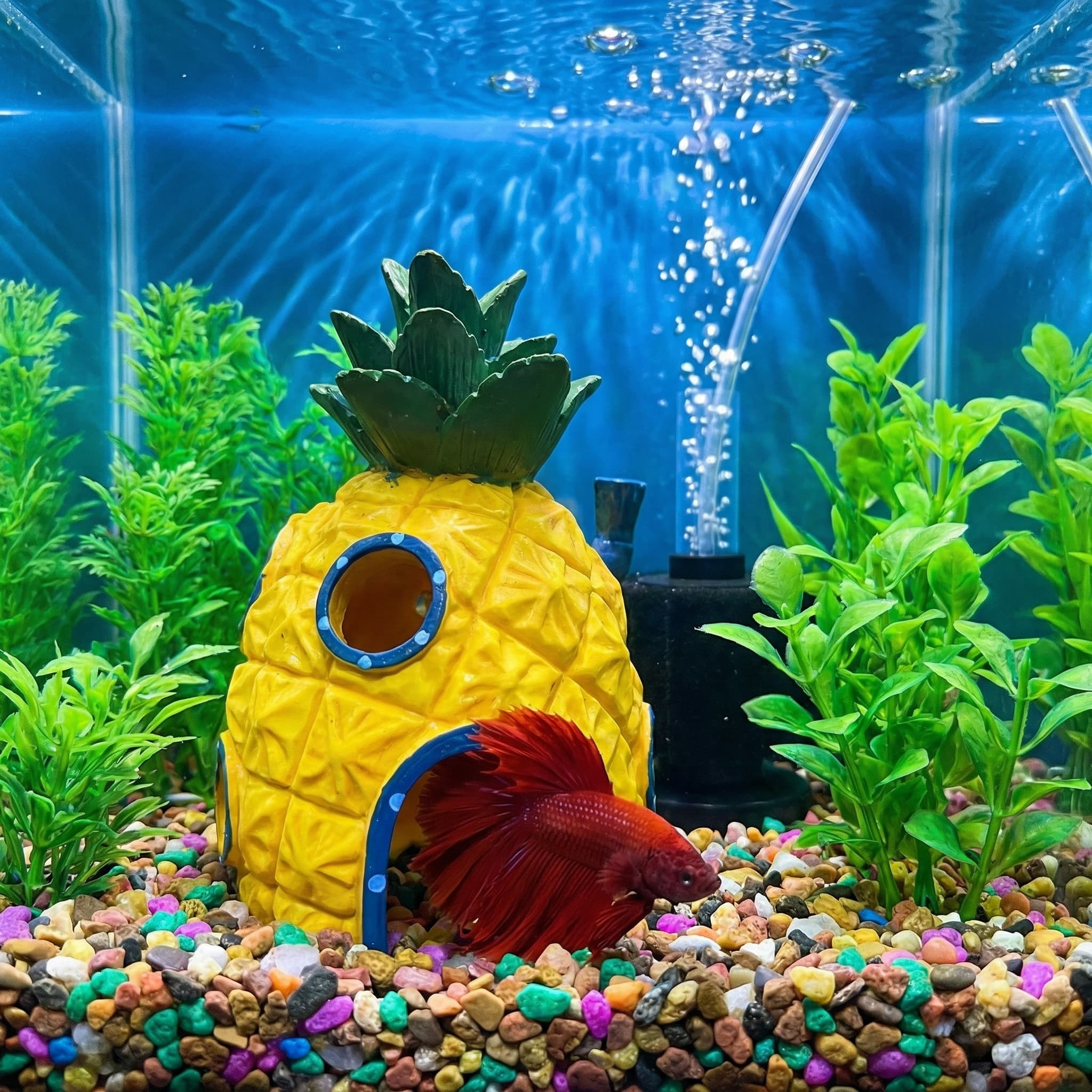 Pineapple House Aquarium Decor - огляд і ціна Aquarium Fish Games
