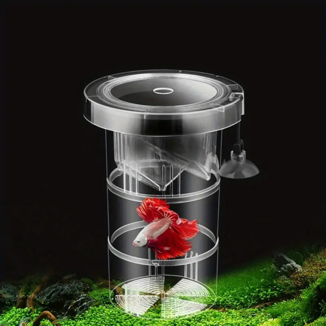Acrylic Floating Fish Breeding - огляд і ціна Box Fish In Aquarium