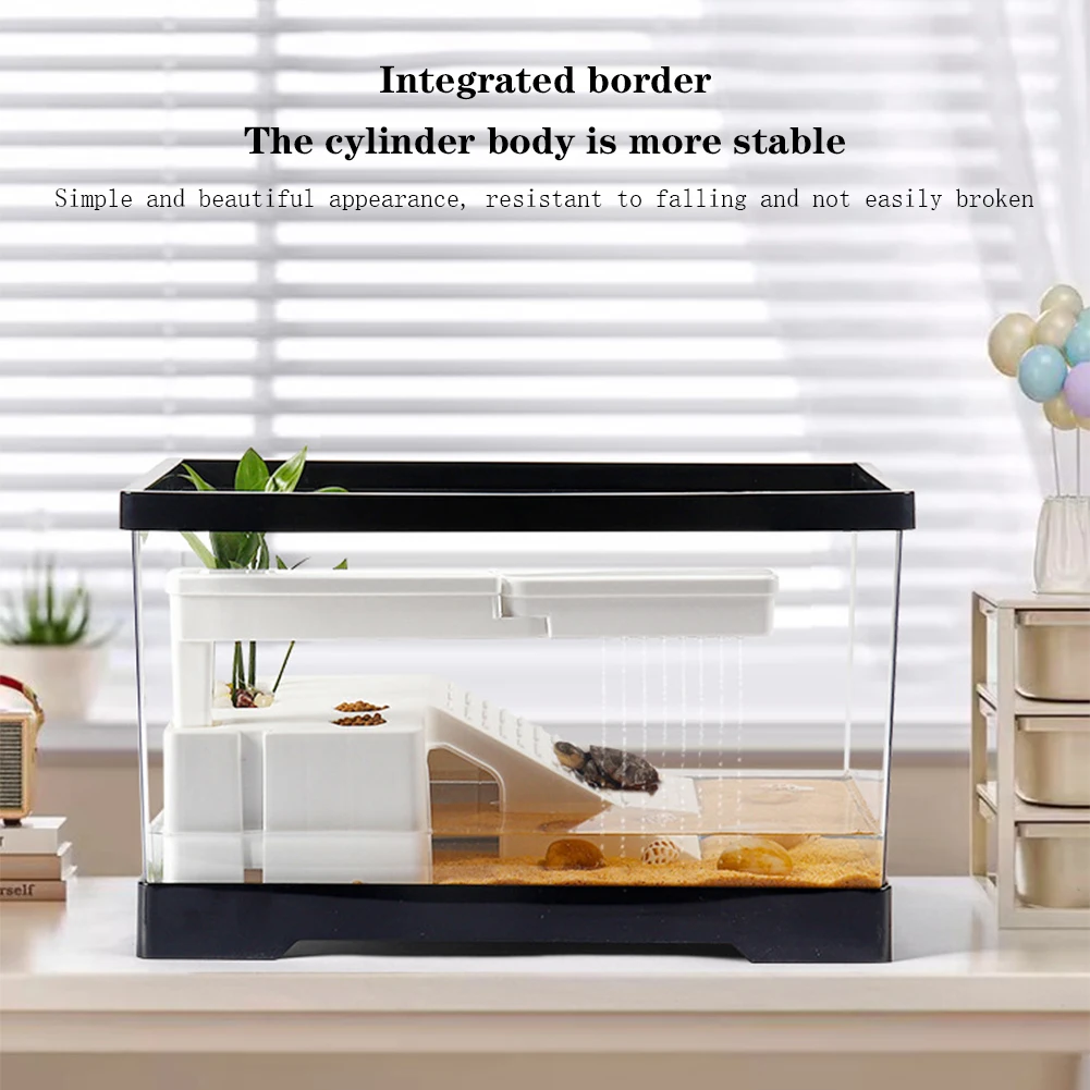 Large Transparent Turtle Tank  - огляд і ціна Box Fish In Aquarium