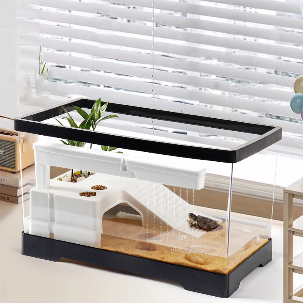 Large Transparent Turtle Tank  - огляд і ціна Box Fish In Aquarium
