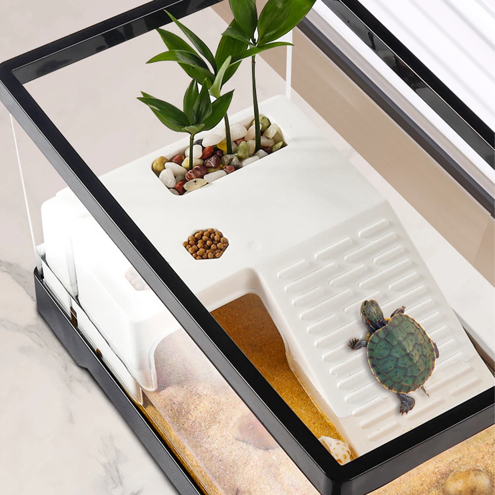 Large Transparent Turtle Tank  - огляд і ціна Box Fish In Aquarium