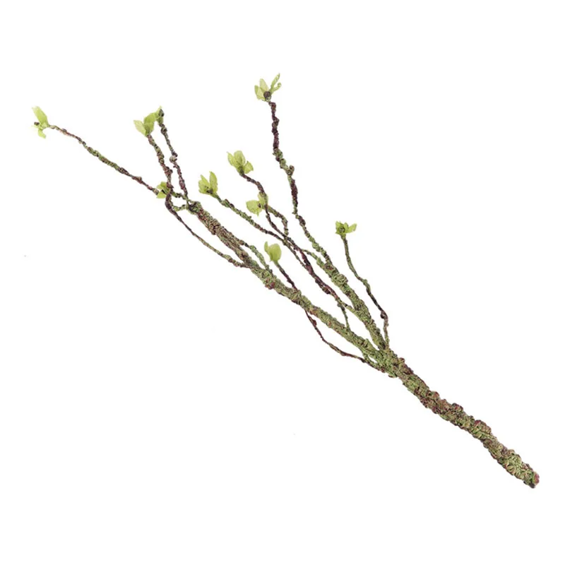 Vines Decor Climbing Branches  - огляд і ціна Aquarium Fish Guppy