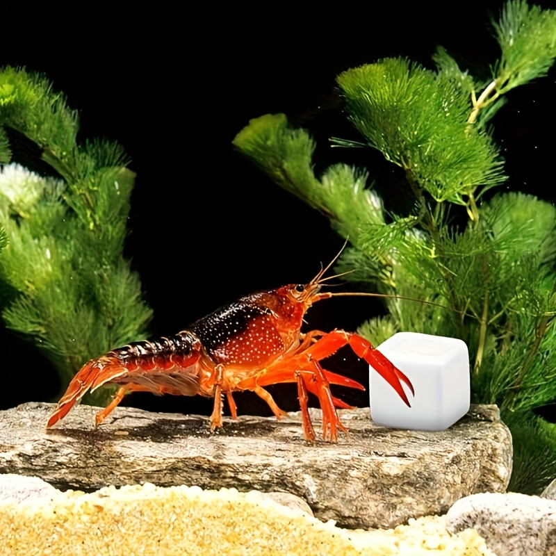 6 Pcs Fish Tank Calcium Block  - огляд і ціна Aquarium Fish Games