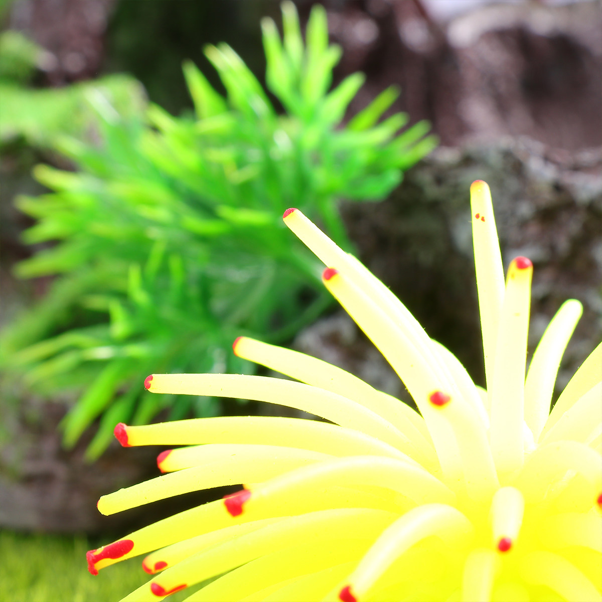 Simulation Sea Urchins Yellow  - огляд і ціна Aquarium Fish Yellow